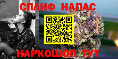 ПСИЛОЦИБИНОВЫЕ ГРИБЫ Кимры