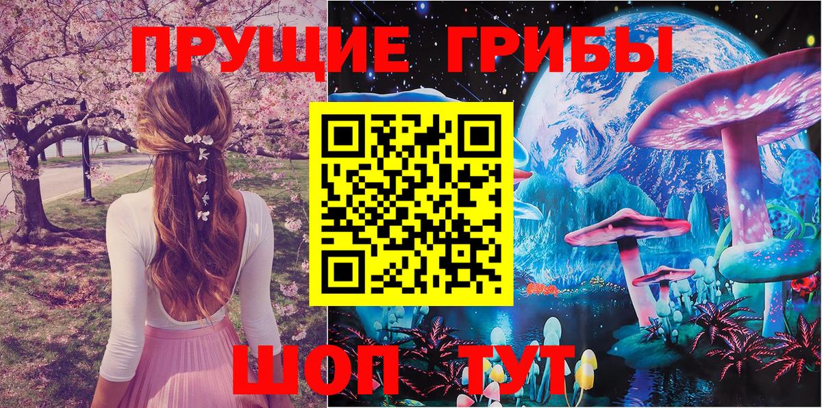 Кудрово  Псилоцибиновые грибы Psilocybe  Вход с VPN 